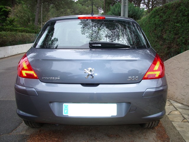 http://www.forum-peugeot.com/Forum/mesimages/23709/2 avec flash.jpg
